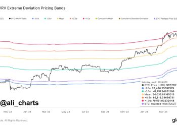 Crypto Analyst Says Bitcoin Will Rise To $79,600 If This Holds