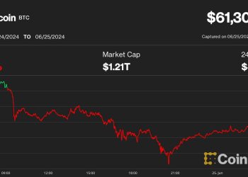 Bitcoin (BTC) Price Hold Steady at $61K After a Brief Nosedive to Below $60K