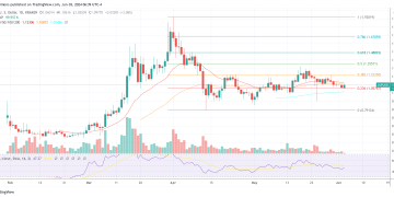 Crypto Guru Unveils Best Altcoins To Buy Now