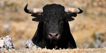 Bitcoin, Ether Options Worth $10B Set to Expire on Friday