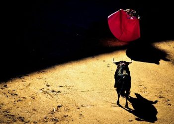 Bitcoin Crosses $71K as BTC ETFs See $880M Inflows in Best Day Since March