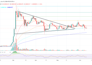 Shiba Inu Price Could Skyrocket By 1,100%, Predicts Analyst