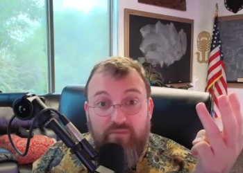 Cardano Drops As Hoskinson Clarifies Relationship To Elon Musk