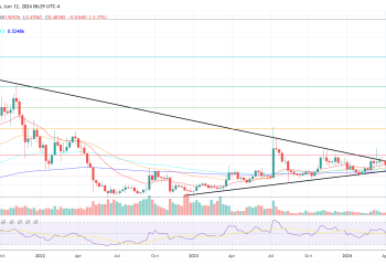 Ex-Ripple Director Explains XRP Price Slide Amid Good News