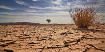 Price Collapses, Exchange Supply Dries Up