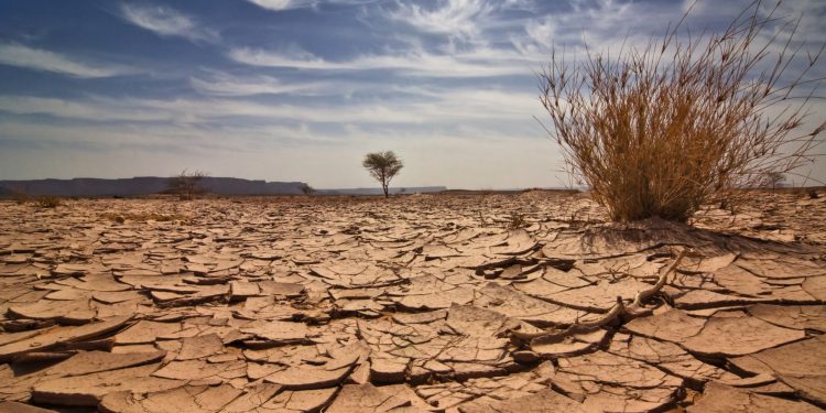 Price Collapses, Exchange Supply Dries Up