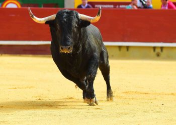 XRP 6-Year Trendline Draws To A Close, 1,500% Rally Seen