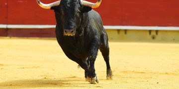 XRP 6-Year Trendline Draws To A Close, 1,500% Rally Seen