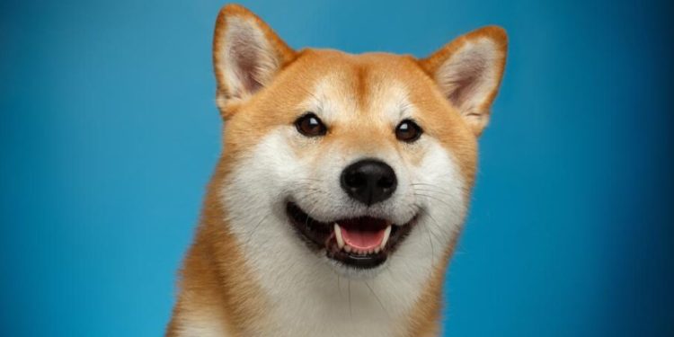 Dogecoin Whales Buy $112 Million Worth Of DOGE