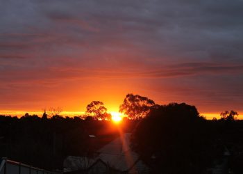 Can Terra Classic Rise From The Ashes? 1,500% Increase Seen