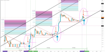 Dogecoin Under The Microscope – Data Points To Rebound