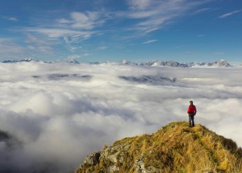 Chainlink (LINK) To Hit New Highs? Analysts Predict $25 Target