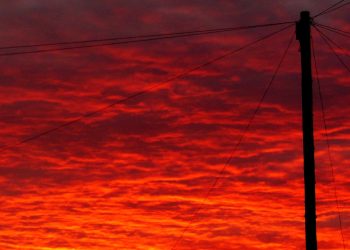 Red Alert For Polkadot (DOT): Double-Digit Drop Sparks Investor Fears