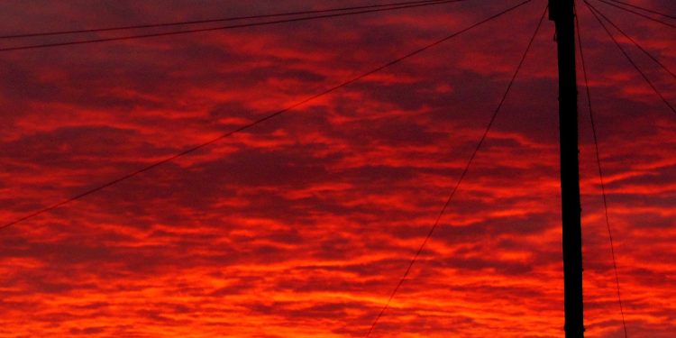 Red Alert For Polkadot (DOT): Double-Digit Drop Sparks Investor Fears