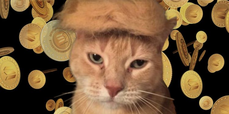 “Meowing America Great Again” – This new cat-meets-Trump PolitiFi memecoin launches today