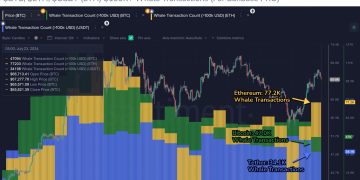ETH Whale Activity 64% More Than BTC