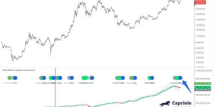 Bitcoin Shows Rare Buy Signal With 84% Win Rate, $80,000 Next?