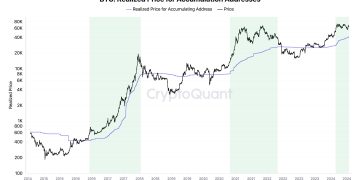 Bitcoin Bull Cycle Likely To Go On Till Mid-2025: CryptoQuant CEO