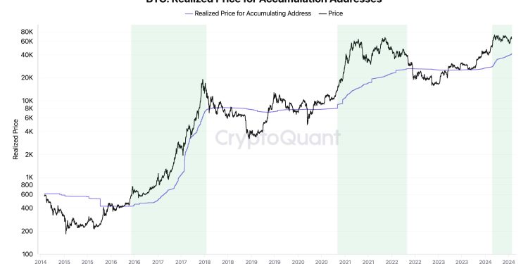 Bitcoin Bull Cycle Likely To Go On Till Mid-2025: CryptoQuant CEO