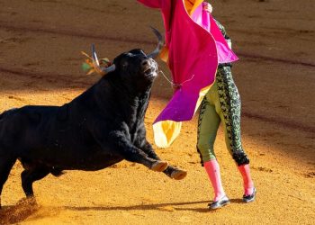 Insights from Past Cycles and Future Predictions