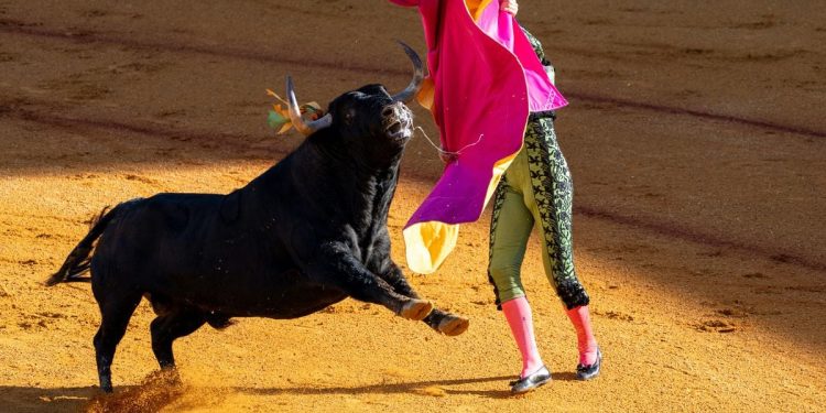 Insights from Past Cycles and Future Predictions