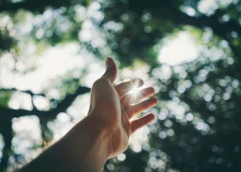 Big Buyers Fueling Rally On Top Crypto Exchanges