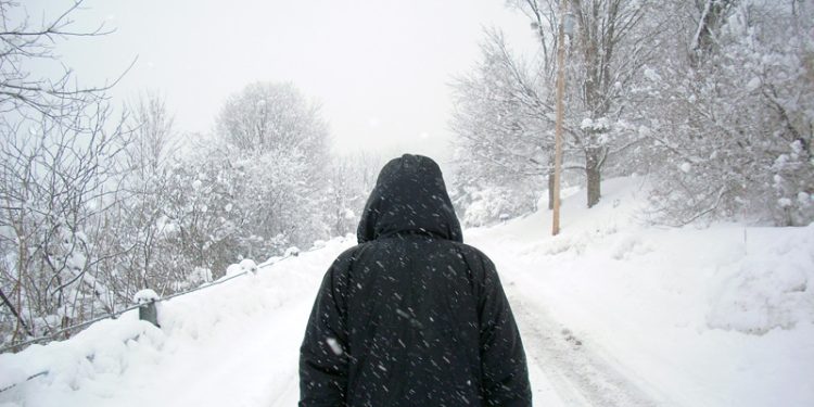 AVAX Brushes Off Bearish Pressure With 11% Rally