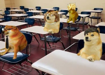 Floki Inu To Build Schools In India, FLOKI Price Seen Hitting $17