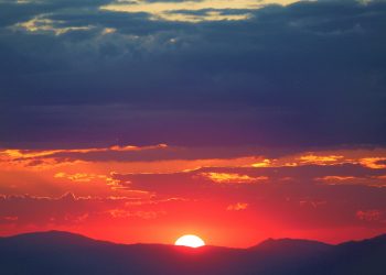 Analysts Unanimous: Solana (SOL) To Soar 100%