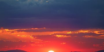 Analysts Unanimous: Solana (SOL) To Soar 100%