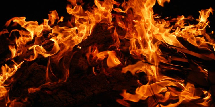 Shiba Inu Prepares For Major Burn; Liquidity Breaks $800 Million