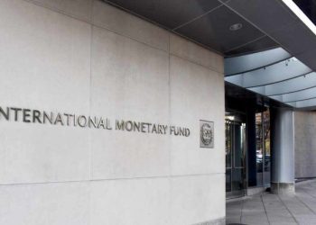 IMF Warns Zambia Against Dedollarization, Calls Plan Counterproductive