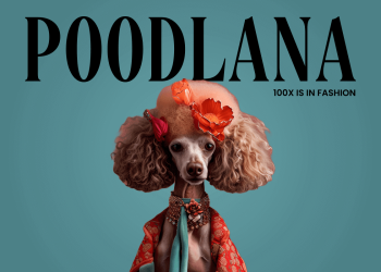 Poodlana: The new trendsetter meme coin set to launch on Solana