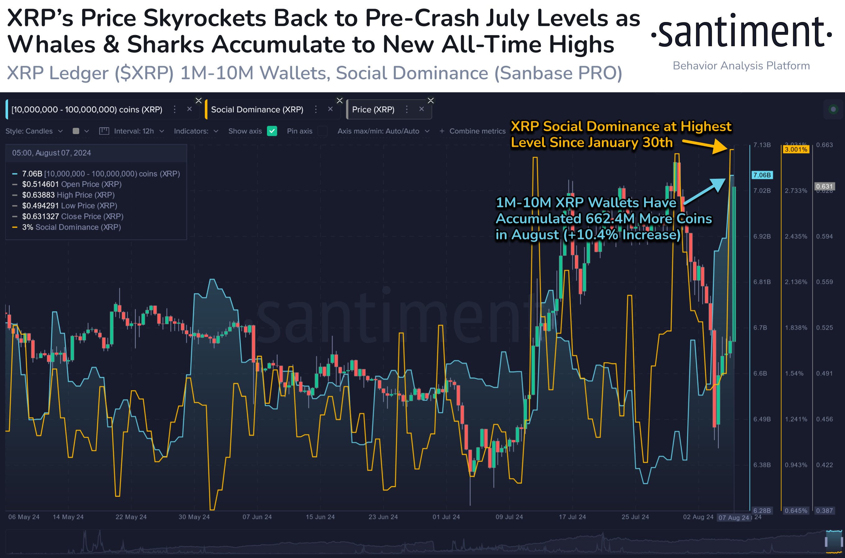 XRP Sharks & Whales Push Bags To ATH As Price Rockets 19%