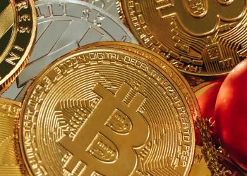 5 Reasons Why You Shouldn’t Put All Your Money in One Cryptocurrency | by Tracy Hardwick | The Capital | Nov, 2024