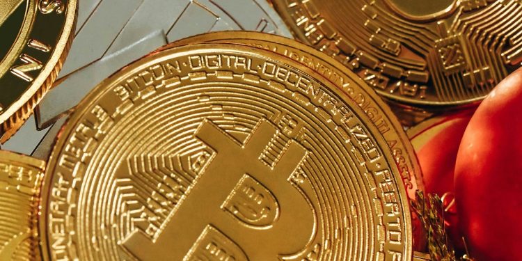 5 Reasons Why You Shouldn’t Put All Your Money in One Cryptocurrency | by Tracy Hardwick | The Capital | Nov, 2024