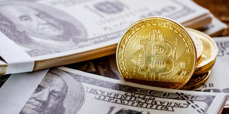 Bitwise CIO: US election is going to be a speed bump or wind gust for crypto