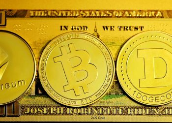 CEX or DEX: Which One Should You Choose? | by Muhammed El-Maraghy | The Capital | Nov, 2024