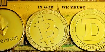 CEX or DEX: Which One Should You Choose? | by Muhammed El-Maraghy | The Capital | Nov, 2024