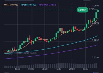 XRP ON FIRE. The Gaint Woke Up And Reached $1 | by Muhammed El-Maraghy | The Capital | Nov, 2024