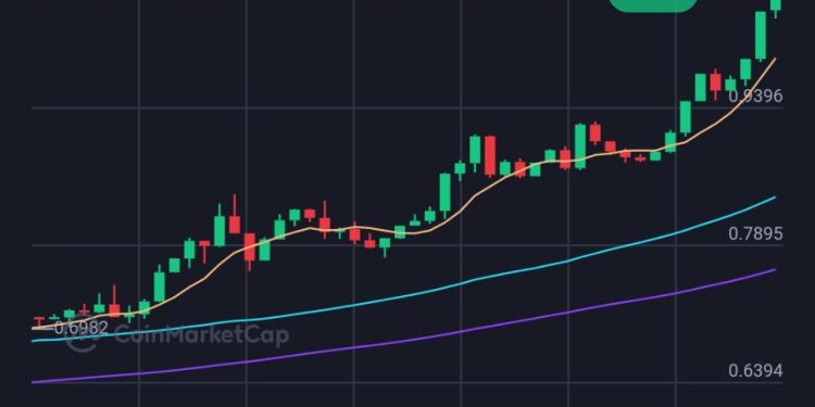 XRP ON FIRE. The Gaint Woke Up And Reached $1 | by Muhammed El-Maraghy | The Capital | Nov, 2024