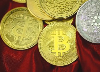 Bitcoin Path to $100 Million Per Coin | by Fahad H Al-Rawahi | The Capital | Nov, 2024