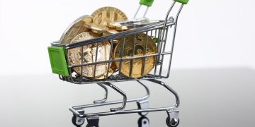 Over 40 and Thinking of Buying Meme Coins? My Honest Take | by Fahad H Al-Rawahi | The Capital | Nov, 2024