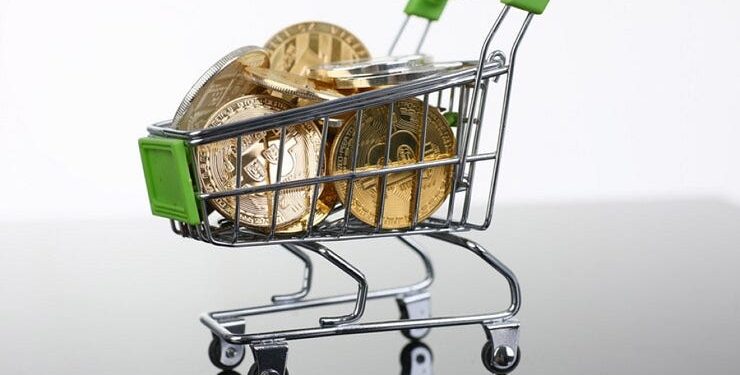 Over 40 and Thinking of Buying Meme Coins? My Honest Take | by Fahad H Al-Rawahi | The Capital | Nov, 2024