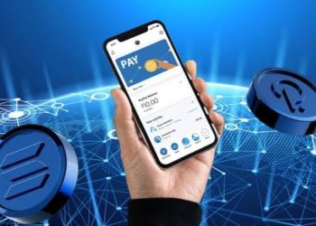 Crypto Payments: The Future of How We Pay | by Cryptoverse Insight | The Capital | Nov, 2024