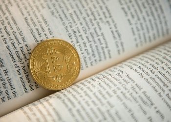 How to Become a Memecoin Millionaire | by Fahad H Al-Rawahi | The Capital | Nov, 2024