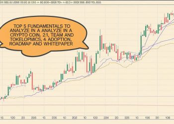 Top 5 Fundamentals to Analyze in a Crypto Coin | by Owais Ahmad | The Capital | Nov, 2024