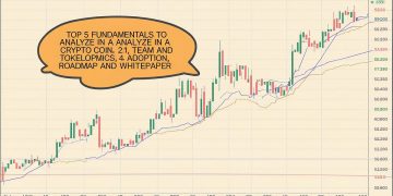 Top 5 Fundamentals to Analyze in a Crypto Coin | by Owais Ahmad | The Capital | Nov, 2024
