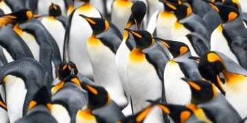 Web3 Brands Should Create Content that People of All Levels Can Relate To | by Hamid Akhtar | The Capital | Nov, 2024