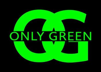 Only Green Lights Up Crypto with Permanent Green Candles